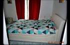 Casă individuală cu 3 camere cu Teren 602 Mp în Făget - 8