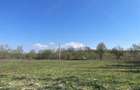 Parcele intravilan, Caransebes 55Eu Mp - 1