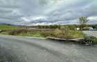 Teren intravilan 3.749 mp Beznea, com. Bratca, jud. Bihor - 2