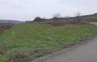 Teren de 8000 mp, în Sopor - 1
