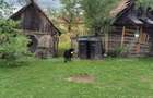 Casă individuală cu 4 camere cu Teren 6000 Mp în Cacova Ierii - 5