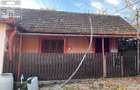 Casă cu 3 camere cu Teren 2672 Mp în Ineu - 16
