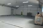 Spațiu industrial, de 400 mp, în Theodor Pallady - 3