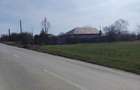 Teren intravilan de vanzare, 15500 m2, Localitatea Dascalu, Jud. Ilfov - 5