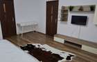 Apartament cu o camera, renovat, Podu Ros - 10