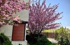 vanzare duplex sector 1 - 3
