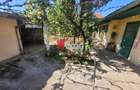 Casă cu 3 camere în Freidorf - 3