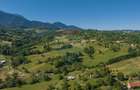 Teren intravilan de 5495 mp, în Bran - 4
