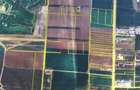 Teren Construcții intravilan de 20000 mp, în Snagov - 2