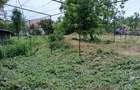 Casă cu 2 camere cu Teren 2100 Mp în Roșia de Secaș - 6