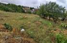 Giarmata Mare - Teren Constructii Case - 6