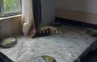 Casa P+1 parter gata de locuit, etaj personalizabil Berceni -Ilfov - 11