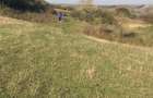 Vanzare teren intarvilan - 4