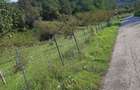 Teren intravilan Sat Voia Com. Balsa 7000mp - 3