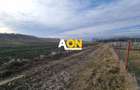 Teren Construcții intravilan de 954 mp, în Periferie - 5 Teren Construcții intravilan de 954 mp, în Periferie - 5