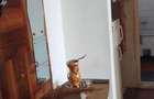 Apartament cu 2 camere decomandat în Mărăști - 5