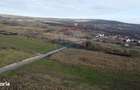 Teren 19.375 mp Dambu Rotund. Potential rezidential. Extravilan - 1