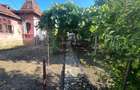 Casa + teren sat fantanele, com radovan . - 1