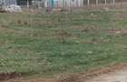 teren MANGALIA intravilan - 3