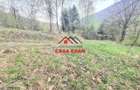 Teren intravilan in Valea Doftanei - Parajul Paltinu--1000 mp--120e
