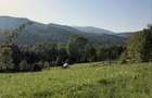 Teren intravilan 1200mp Tesila ~Valea Doftanei 0735.131.492