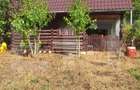 Teren de vanzare, 4847 mp, cabana, zona Nadrag - 1