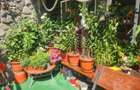 Vila de vacanta de vanzare in Busteni - Zona Zamora - 45
