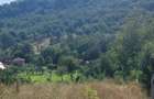 De vanzare: Teren 1000 mp intravilan in Bunesti - Malureni, Arges - 4