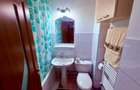 Inchiriere apartament 1 camera Nicolina 1