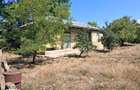 Vand casa +teren mare in com.Viziru Jud.Braila - 1