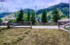 Teren intravilan ,extravilan Pojorata-Bucovina