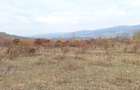 Teren de 8000 mp, în Jercălăi - 2