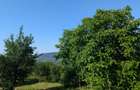 Casa + teren (gradina, vie si livada) - 4