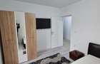 Apartament 1 camera mobilat si utilat Lunca Cetatuii, Cartier Astoria - 13