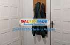 Armeneasca, apartament 8 camere, suprafața utila 200 mp - 14