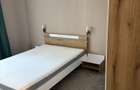 Apartament 3 Camere cu Curte Privata si Terasa Sector 5, Intrarea Batasani - 5