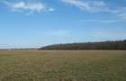 Ilfov Particular -Peninsula Ganeasa, 1075 mp. teren intravilan - 2