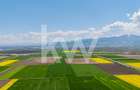 Teren 10.600 mp în Codlea – ideal pentru investiție industrială - 10