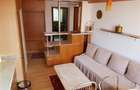 Apartament 2 camere de inchiriat zona Piata Civica Tulcea - 6