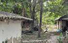 Crevedia, Darza, teren 884 mp, utilitati in zona, comision 0%, Imozone