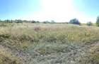 Investitie in natura 2.900 mp la 16 euro/mp in Macicasu/Chinteni - 3