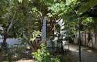 Inchiriere casa 4 camere 91mp curte 300mp gradina Cotroceni Medicina
