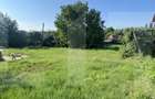 Teren intravilan de vanzare, 821 mp, Strada Borviz - 1