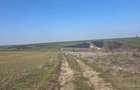 Teren intravilan, 7500 mp, Mischii - 2