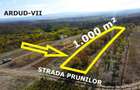 VIDEO | Teren intravilan cu livada – 1.000 m² in Ardud-Vii, cu view spectaculos!