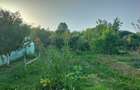 Casa la ?ara cu livada, gradina ?i aer curat - Vulturesti, Arge? - 1