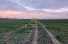 TEREN INTRAVILAN IN LILIECI, BACAU