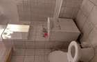 Apartament 2 camere zona printul turcesc
