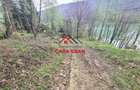 Teren intravilan in Valea Doftanei - Parajul Paltinu--1000 mp--120e - 11