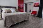 Studio modern, 35 mp | Strada Samuil Vulcan - 13